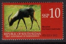 South sudan329.jpg