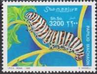 Somalia310.jpg