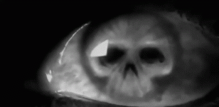 z70.gif z70.gif