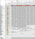 Wettspiel202425_31.png Wettspiel202425_31.png