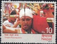 N5.jpg