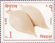 Nn34.jpg