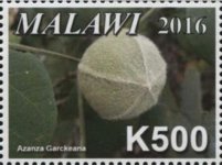 M7.jpg