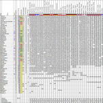 Wettspiel202425_36.png
