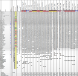Wettspiel202425_37.png