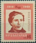 Bul504.jpg