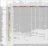 Wettspiel202425_38.png Wettspiel202425_38.png