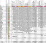 Wettspiel202425_39.png Wettspiel202425_39.png