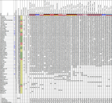 Wettspiel202425_40.png