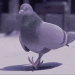 1744086578461.gif