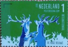 Ned61.jpg Ned61.jpg