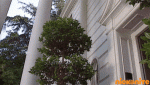 2C5B691A-1364-48D9-882B-CC0E0C91A3A6.gif