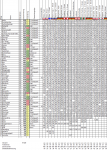 Wettspiel201920_22.png