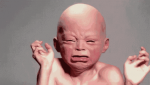 1581590022601.png