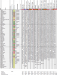 Wettspiel201920_23.png
