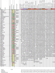 Wettspiel201920_24.png Wettspiel201920_24.png