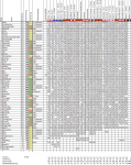 Wettspiel201920_25.png