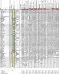 Wettspiel201920_26.png