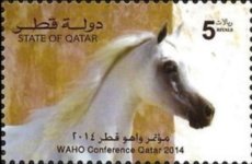 Qu372.jpg