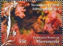 Mx284.jpg