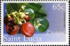 L47.jpg L47.jpg