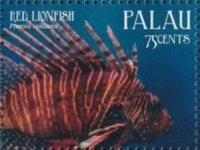 Palx361.jpg Palx361.jpg
