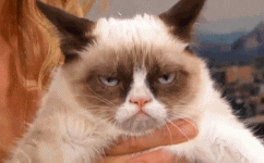 1750306368457.gif 1750306368457.gif