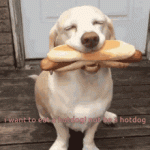 1751209164679.gif