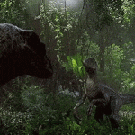 1751209644337.gif