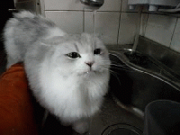 1751209795871.gif