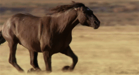 1751210149003.gif