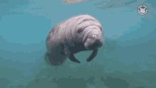 1751211883012.gif