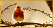 1751213323031.gif