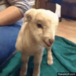 1751214171690.gif