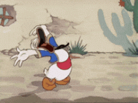 RDT_20250622_0045343726923054021042717.gif