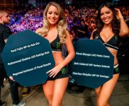 #9366452.jpg