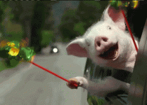 animated-fun-image-0391.gif