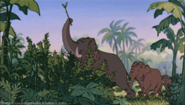 1752416584052.gif