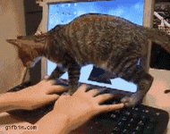 1752416795104.gif