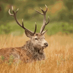 1753324297915.gif