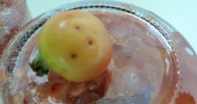 20250807_171124.jpg