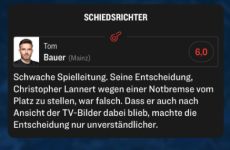 arminia.png