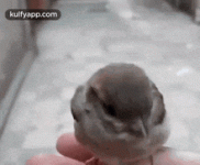1758107099085.gif