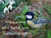 0227_02583_geburtstagskarte_fruehling.jpg