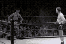 1759645387060.gif 1759645387060.gif