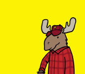 1760216825740.gif