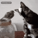 1760609962624.gif