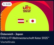 Viertelfinal Oesterreich20.jpg