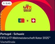 ViertelfinalSchweiz99.jpg