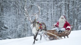 rovaniemi106_v-contentgross.jpg